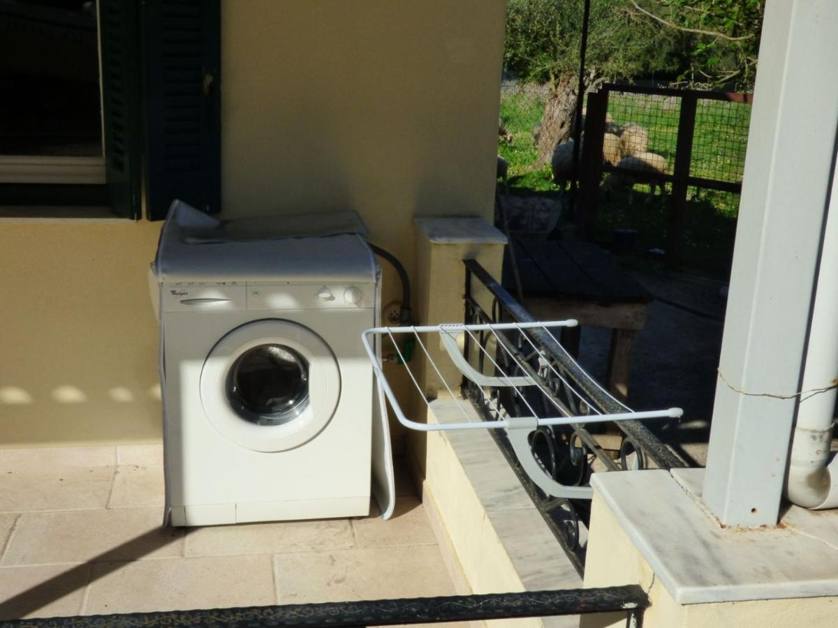 Samoilis Apartament *